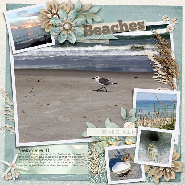 5a - Beaches