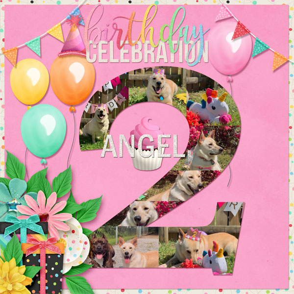 5B_Angel's Birthday
