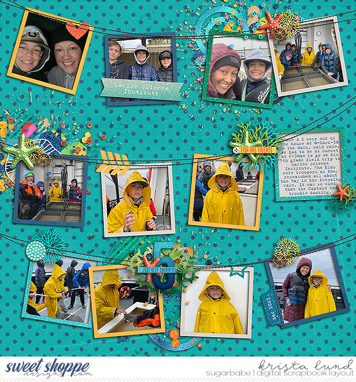 5th Grade Marine Institute