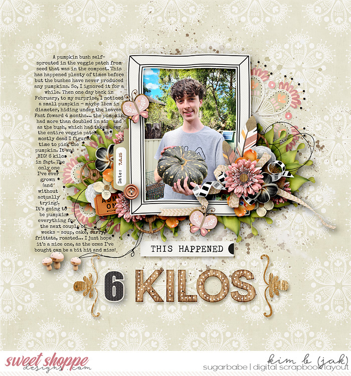 6 Kilos