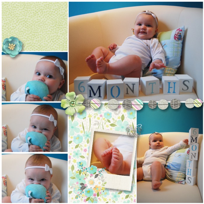 6 months (left)