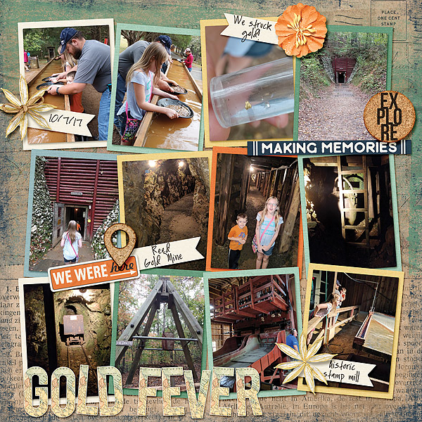 6 - Reed Gold Mine