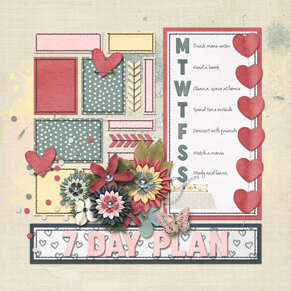 7 Day Plan