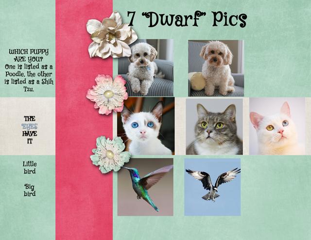 7 "Dwarf" Pics
