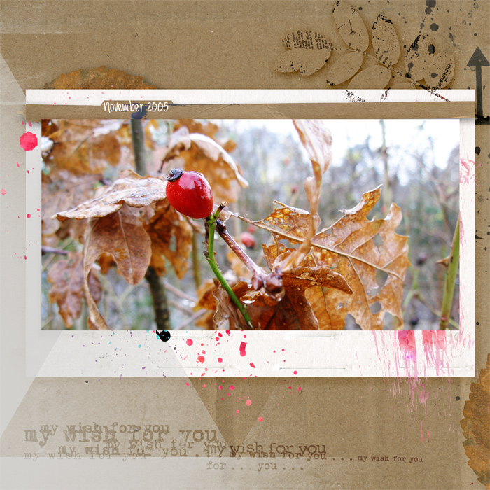 7. November