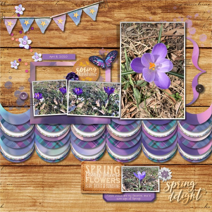7 - Spring delight