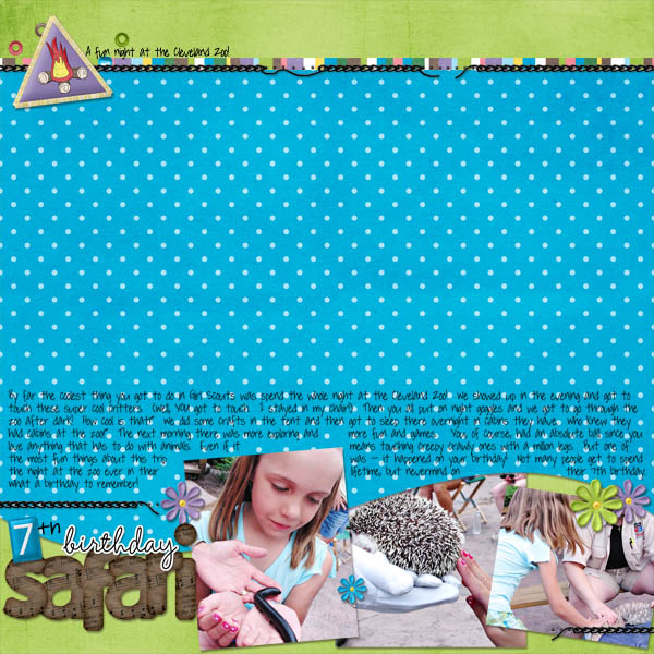 7th Birthday Safari