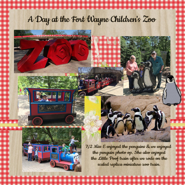 8/3/2021 Outdoor Activity - Visit to the Zoo