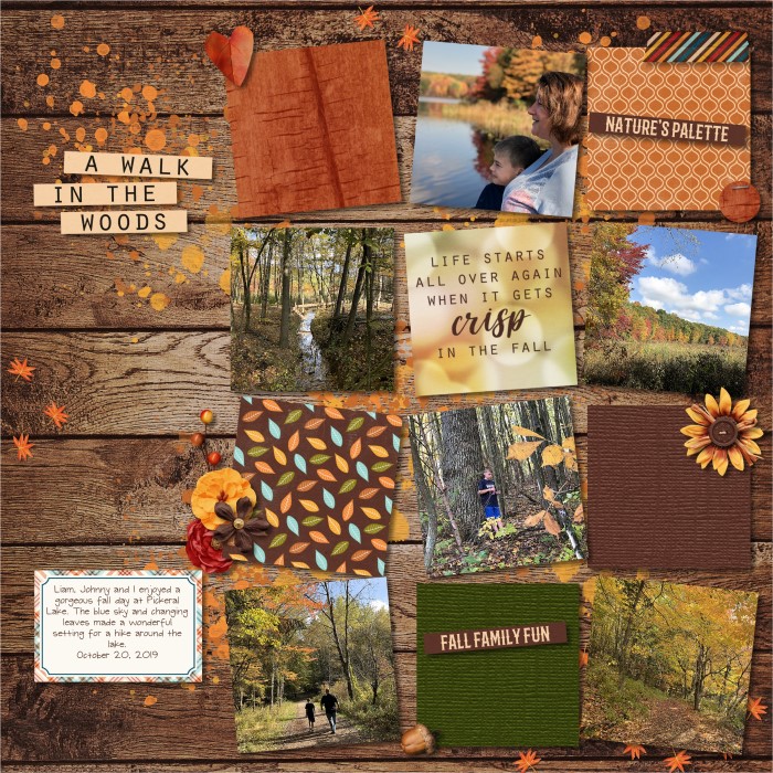 8 - A walk in the woods