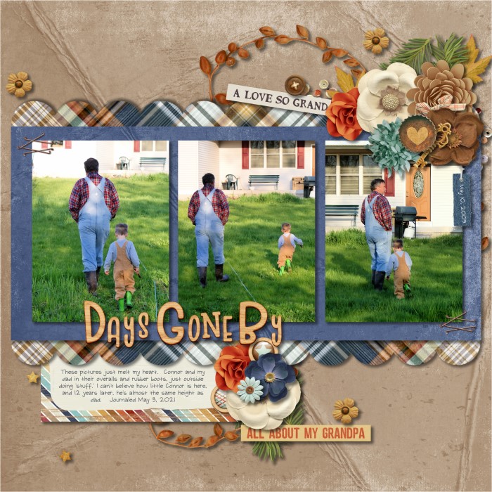 8 - Days gone by