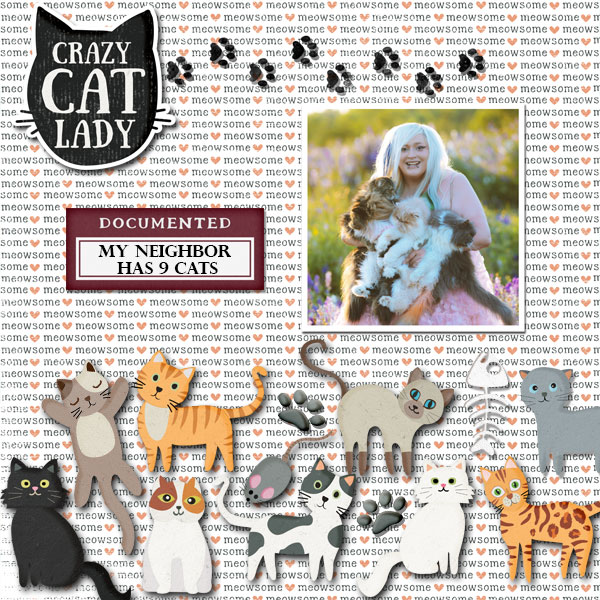 9 Cats