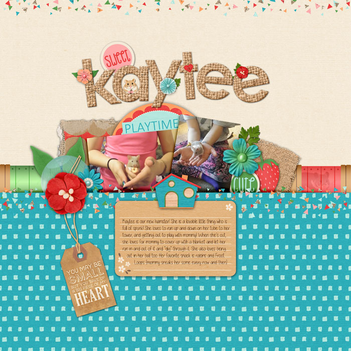 #9 - Kaytee