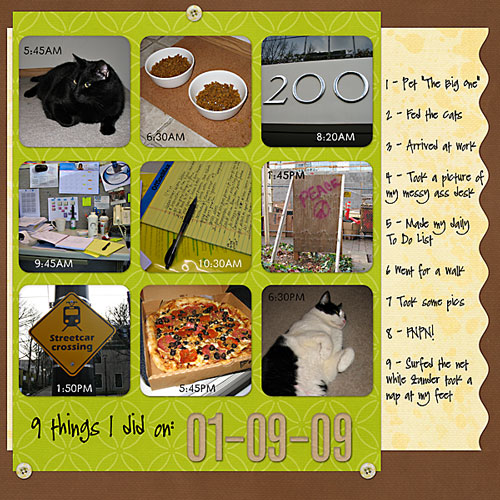 9Things - Jan. '09 - Scrap Your Day Challenge