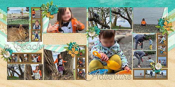 A Beach Adventure