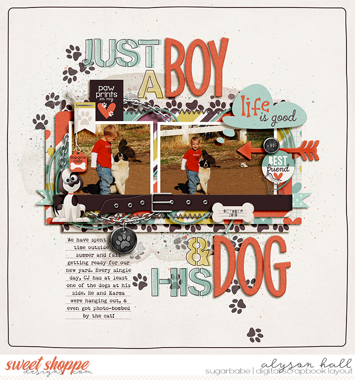 A Boy & His Dog