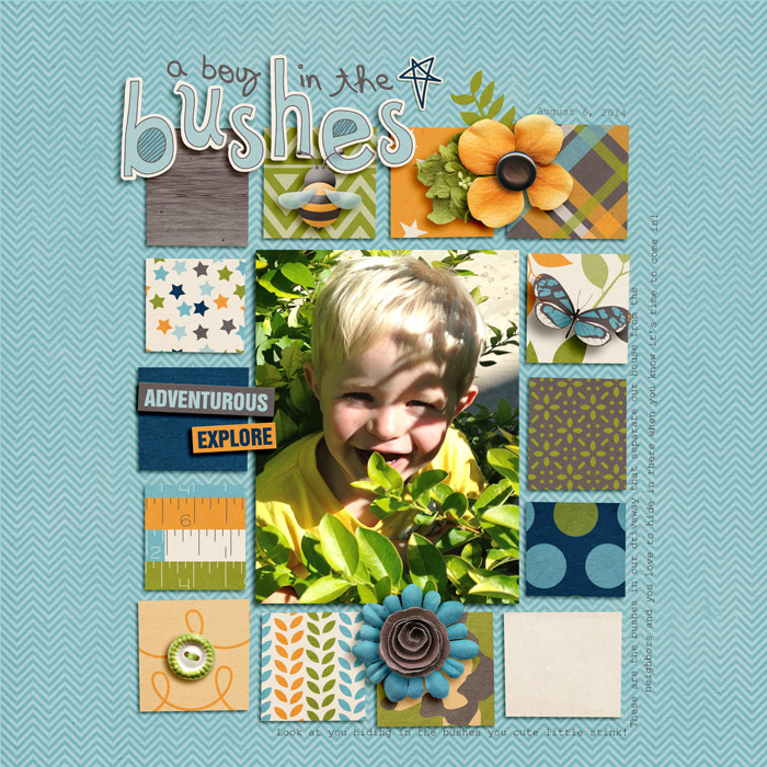 A Boy In The Bushes