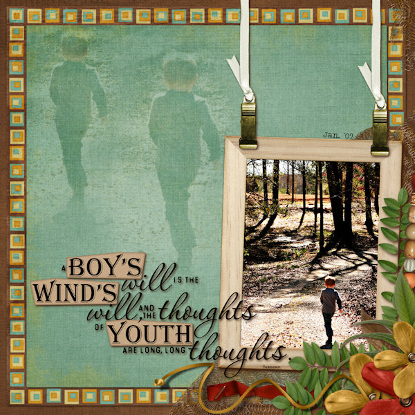 A Boy's Will