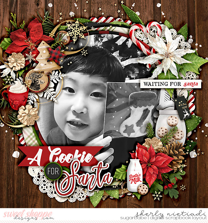 A cookie for Santa