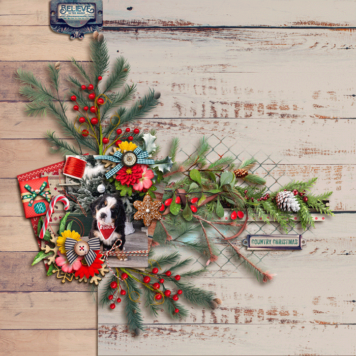 A Country Christmas