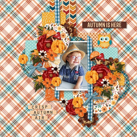 A crisp autumn