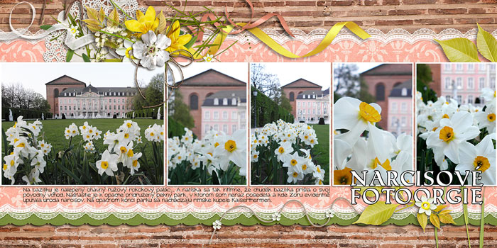 A daffodil photo orgy