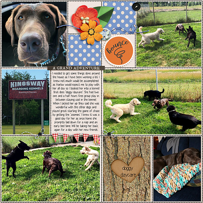 A Day at Doggy Daycare