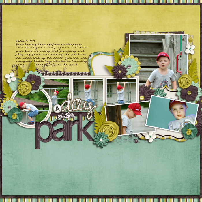 A Day at the Park