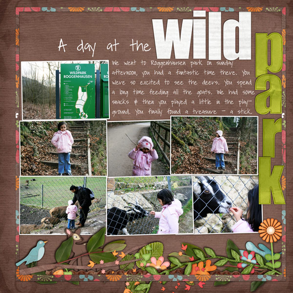 A day  at the wild park