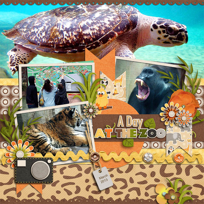 A Day at the Zoo