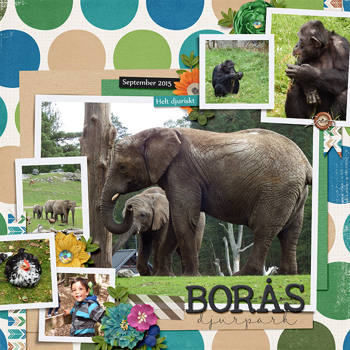 A day at the zoo