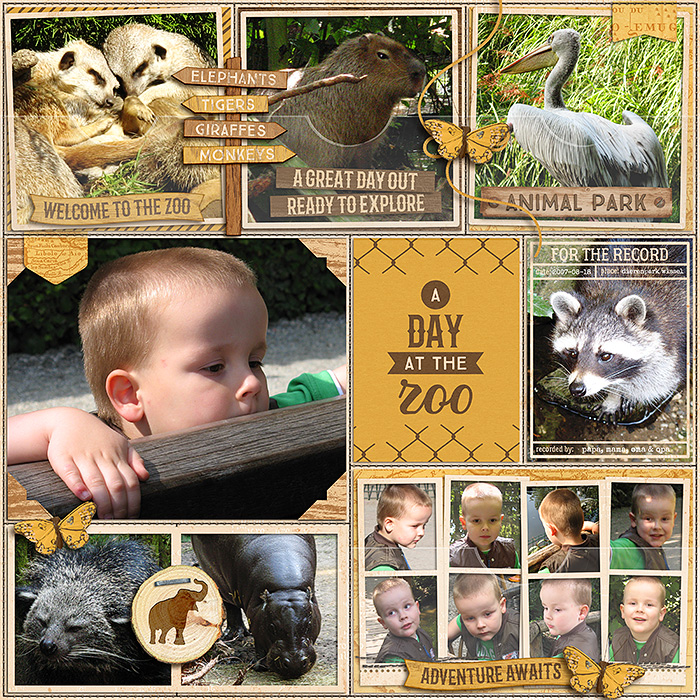 a day at the zoo