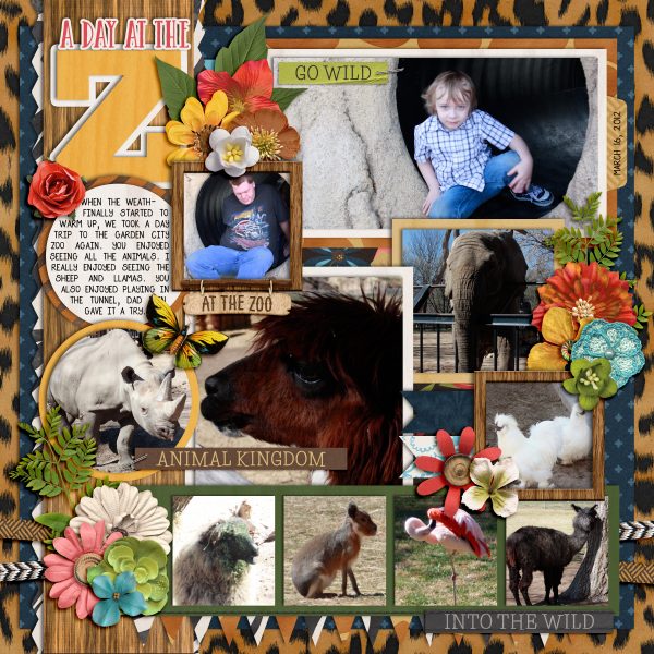 A Day At The Zoo