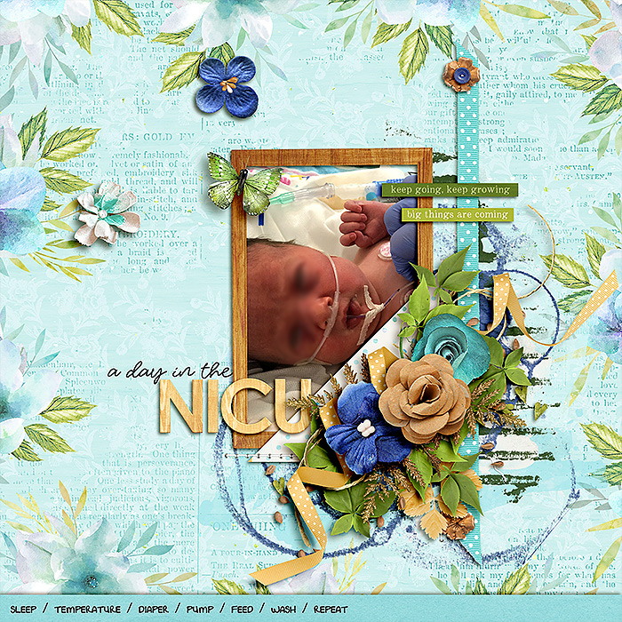 a day in the nicu