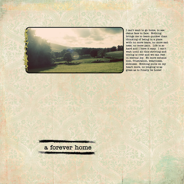 A Forever Home