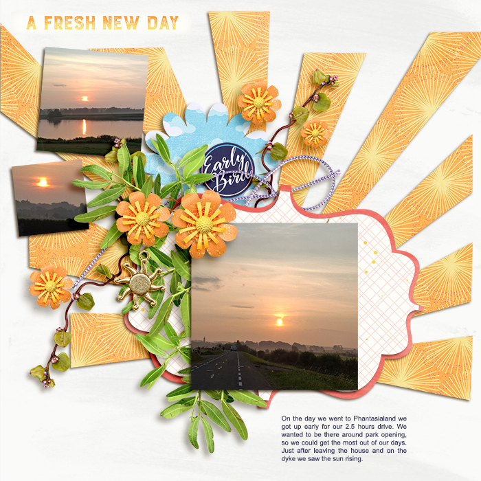 A Fresh New Day