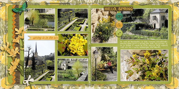 A garden