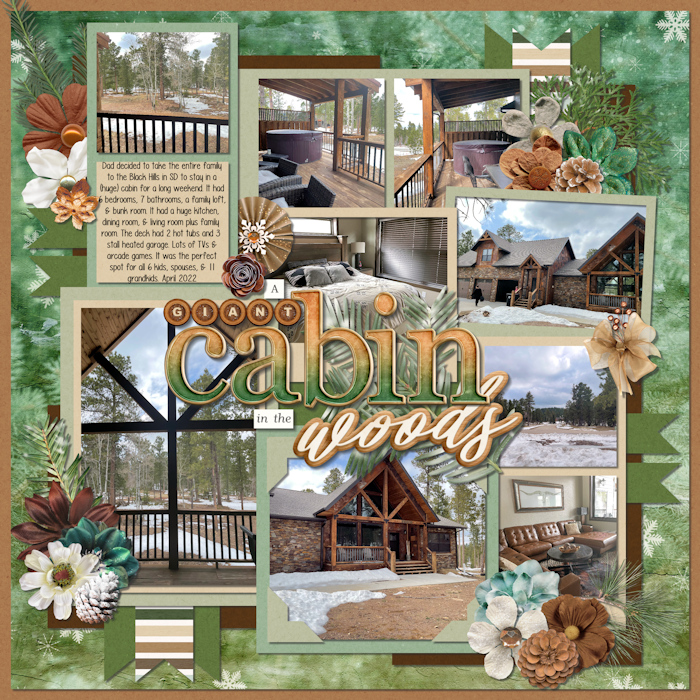 A Giant Cabin in the Woods