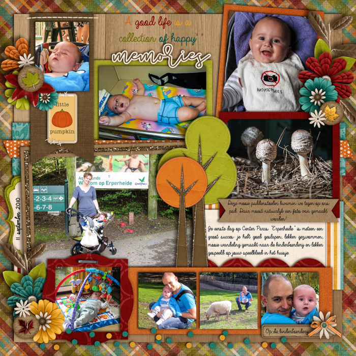 A Good Life is a Collection of Happy Memories