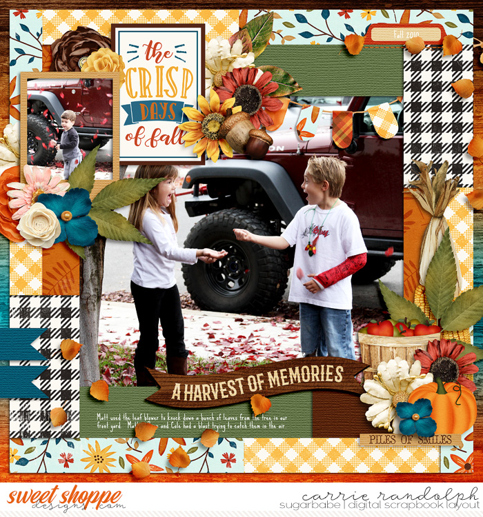 A Harvest of Memories
