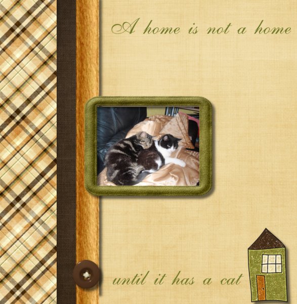 A home