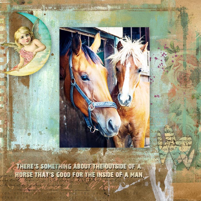 A Horse