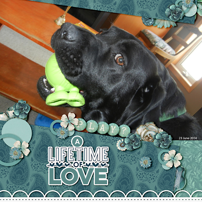A Lifetime of Love