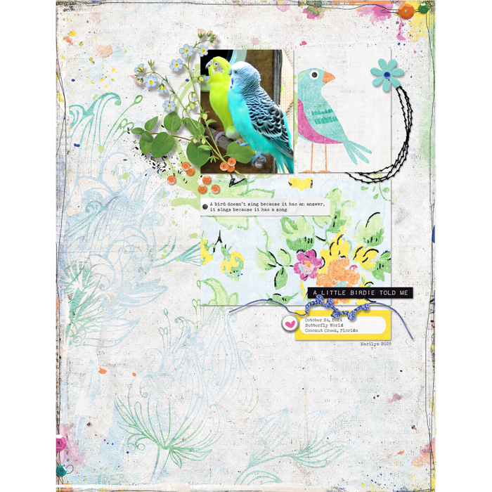 A Little Birdie Told Me