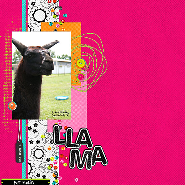A Llama for Robin
