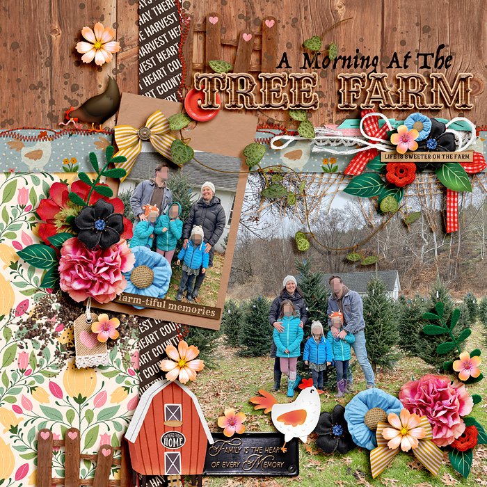 A morning at the tree farm