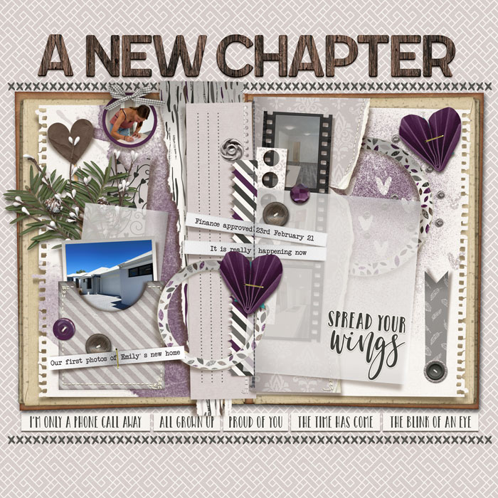 A New Chapter