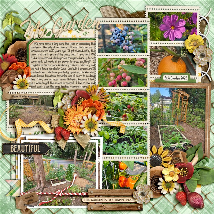 A New Garden Space - 2025