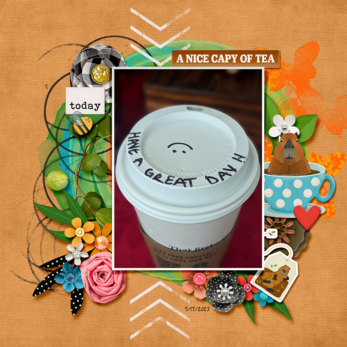 A Nice Capy of Tea
