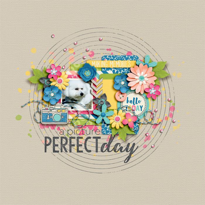 A Picture Perfect Day