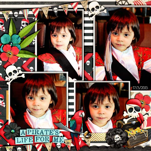 a pirate's life